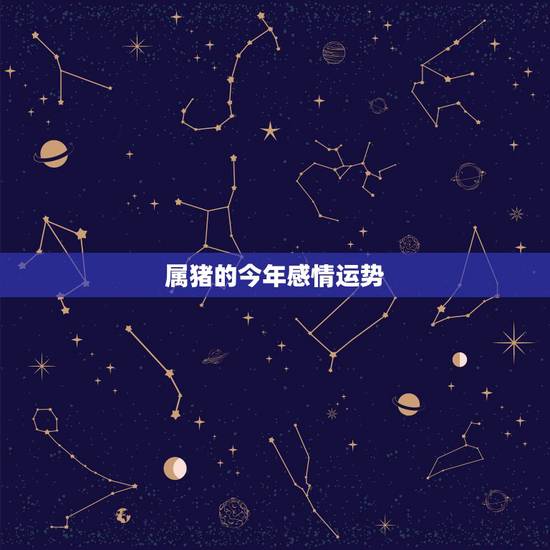 属猪的今年感情运势，属猪的今年感情运势怎么样