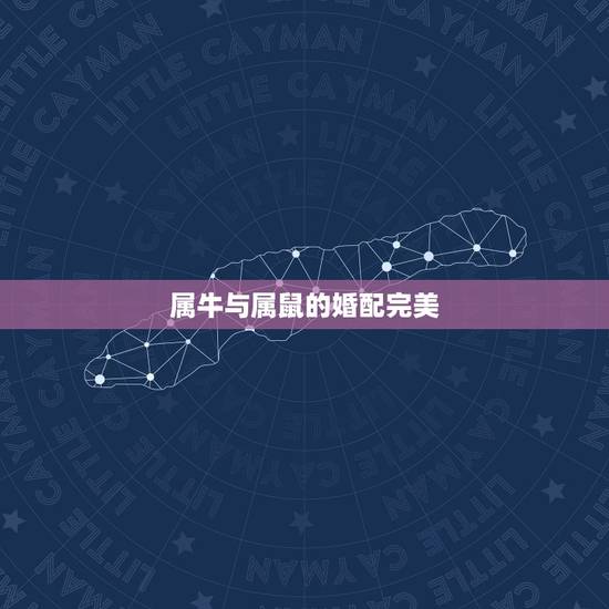 属牛与属鼠的婚配完美,属鼠的和属牛的配吗 属牛与属鼠的婚配完美,属鼠的和属牛的配吗
