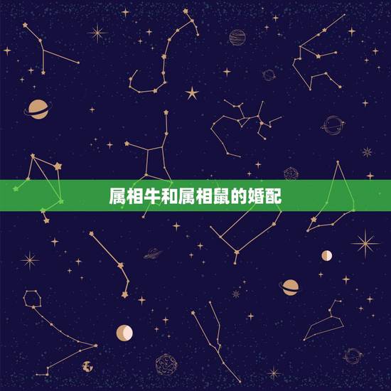 属相牛和属相鼠的婚配，属鼠和什么属相最配