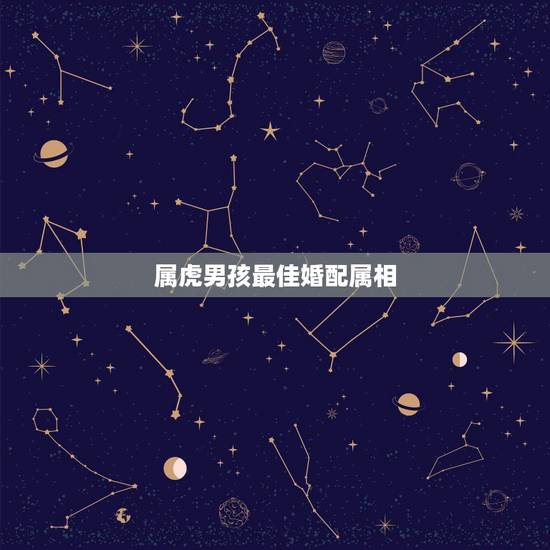 属虎男孩最佳婚配属相，属虎的男孩与什么属相的女孩婚配最好？