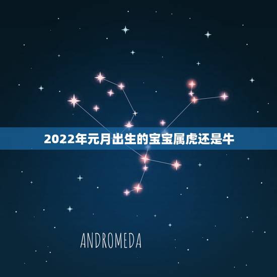 2022年元月出生的宝宝属虎还是牛,明年虎年,孩子出生几号才是属虎的? 2022年元月出生的宝宝属虎还是牛,明年虎年,孩子出生几号才是属虎的?