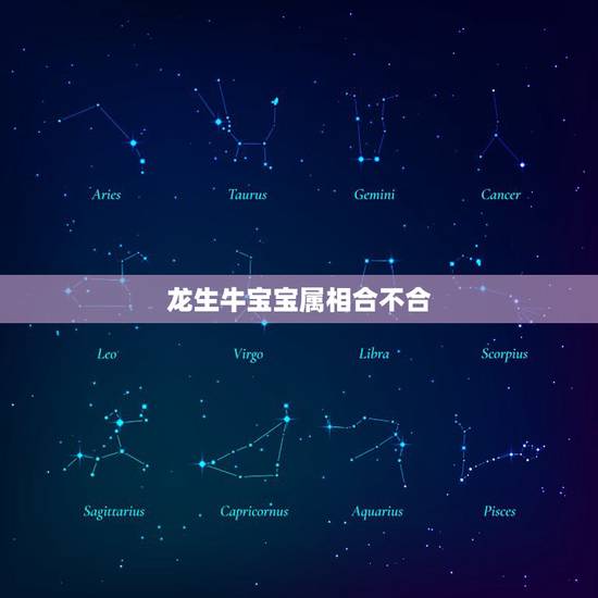 龙生牛宝宝属相合不合，属龙的和属牛的生什么属相的孩子好