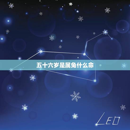 五十六岁是属兔什么命,56岁属什么生肖 五十六岁是属兔什么命,56岁属什么生肖