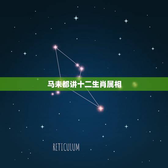 马未都讲十二生肖属相,马未都:十二生肖中为什么没有猫这个属相 马未都讲十二生肖属相,马未都:十二生肖中为什么没有猫这个属相