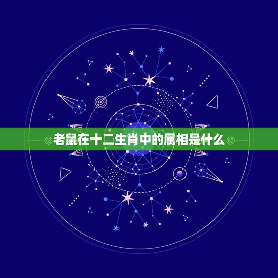 老鼠在十二生肖中的属相是什么，十二生肖中，老鼠的代号是什么？
