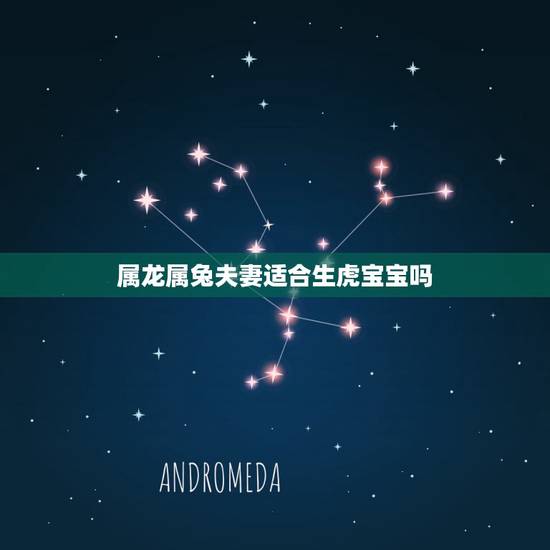 属龙属兔夫妻适合生虎宝宝吗，我属兔，老公属龙，明年生一个虎宝宝可以吗？