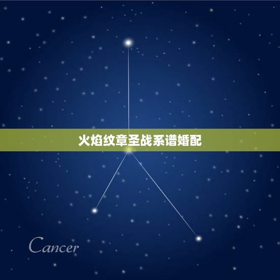 火焰纹章圣战系谱婚配，火花天龙剑火焰之纹章圣战系谱谁和谁结婚是最好的