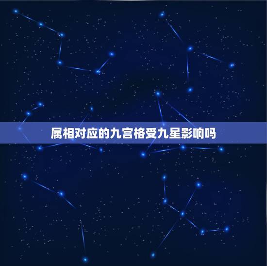属相对应的九宫格受九星影响吗，〖洛书九宫图〗风水知识：什么是九宫飞星