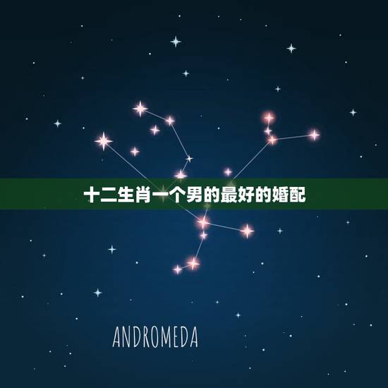 十二生肖一个男的最好的婚配,属蛇男配什么属相好 十二生肖一个男的最好的婚配,属蛇男配什么属相好