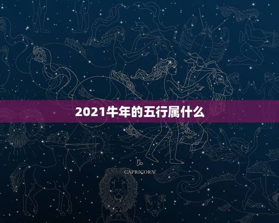 2021牛年的五行属什么，2021年是什么牛五行属什么
