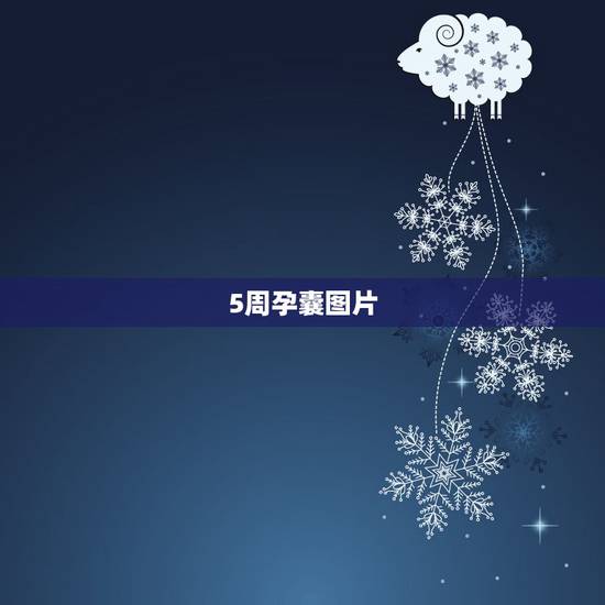 5周孕囊图片,自然孕囊什么样子 5周孕囊图片,自然孕囊什么样子