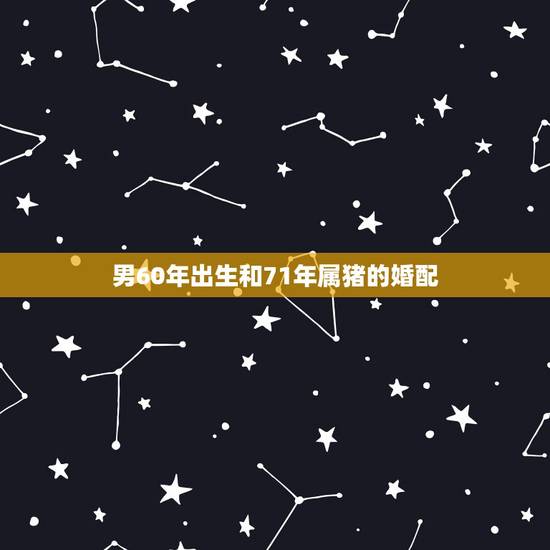 男60年出生和71年属猪的婚配，71年属猪的和什么属相最配