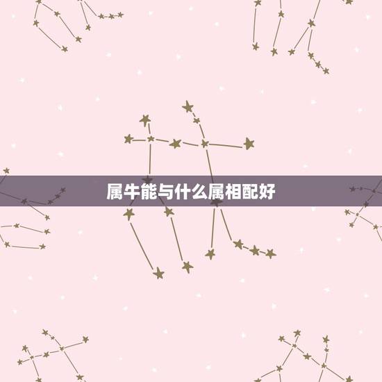 属牛能与什么属相配好,属牛与属什么最佳相配对 属牛能与什么属相配好,属牛与属什么最佳相配对