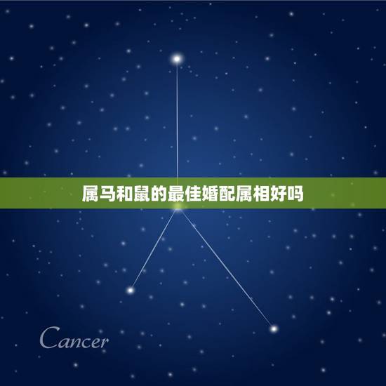 属马和鼠的最佳婚配属相好吗，属相婚配：男属马和女属鼠相配吗