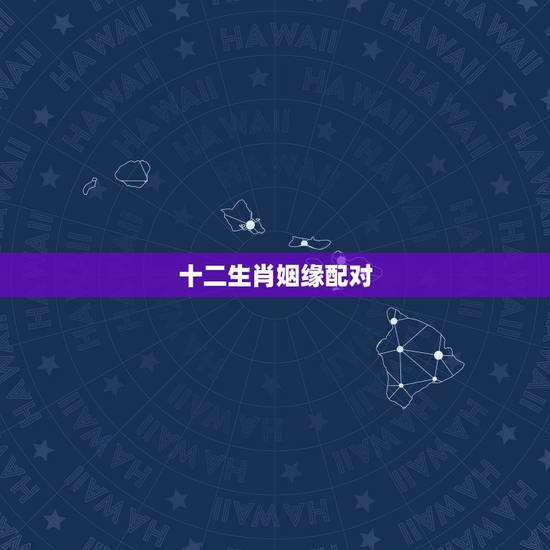 十二生肖姻缘配对，十二生肖婚姻配对