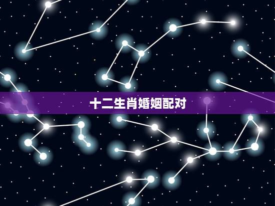十二生肖婚姻配对,婚姻配对十二生肖算命 十二生肖婚姻配对,婚姻配对十二生肖算命