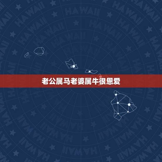 老公属马老婆属牛很恩爱,我属马,老公属牛 老公属马老婆属牛很恩爱,我属马,老公属牛