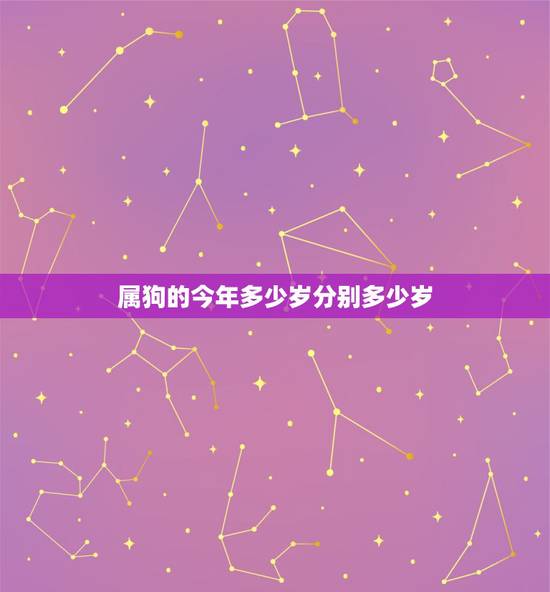 属狗的今年多少岁分别多少岁，94年属狗人注定的婚姻