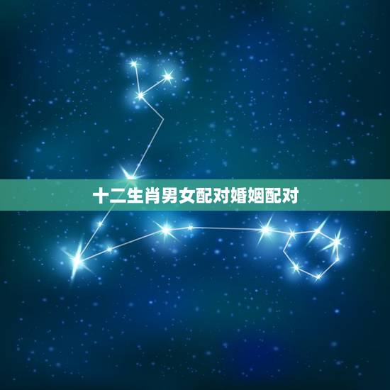 十二生肖男女配对婚姻配对,最全十二属相婚配表 十二生肖男女配对婚姻配对,最全十二属相婚配表
