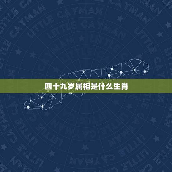 四十九岁属相是什么生肖，查一下49岁属什么生肖