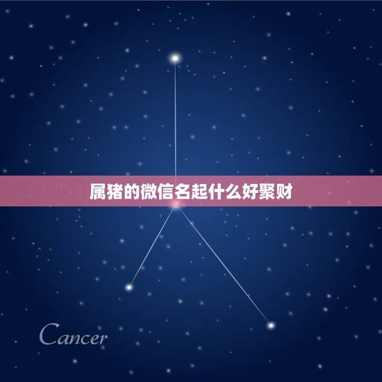 属猪的微信名起什么好聚财，适合属猪的微信名字