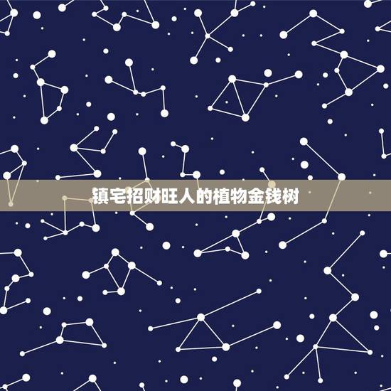镇宅招财旺人的植物金钱树,金钱树的摆放风水有哪些 镇宅招财旺人的植物金钱树,金钱树的摆放风水有哪些