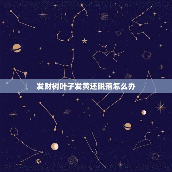 发财树叶子发黄还脱落怎么办，发财树树叶发黄脱落怎么办？