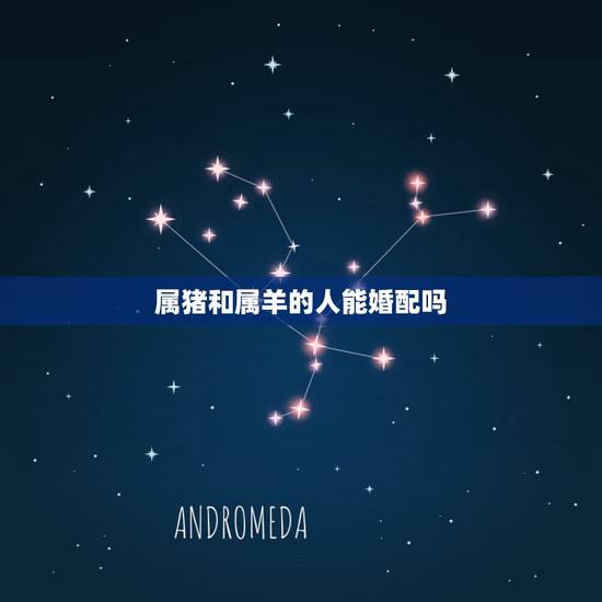 属猪和属羊的人能婚配吗，属相婚配：男属羊和女属猪相配吗