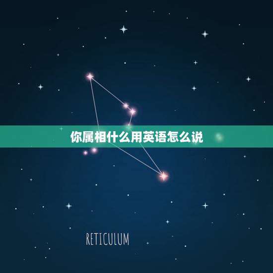 你属相什么用英语怎么说,“属相”用英语怎么说? 你属相什么用英语怎么说,“属相”用英语怎么说?