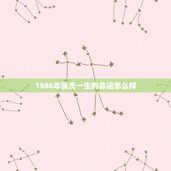 1986年属虎一生的命运怎么样，2022 年34岁有一劫属虎86