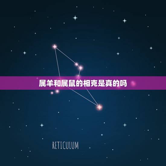 属羊和属鼠的相克是真的吗，属猪跟属羊的属相合吗