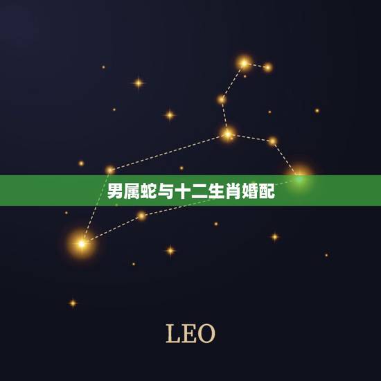 男属蛇与十二生肖婚配,属蛇的属相婚配表 男属蛇与十二生肖婚配,属蛇的属相婚配表