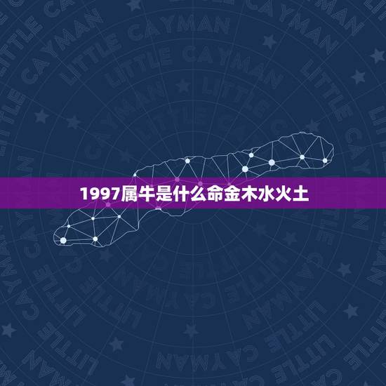 1997属牛是什么命金木水火土,属牛九七年金木水火土 1997属牛是什么命金木水火土,属牛九七年金木水火土