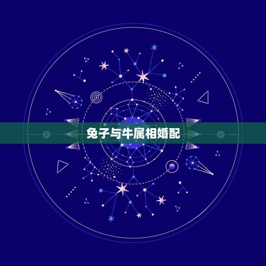 兔子与牛属相婚配,牛和兔相配吗 兔子与牛属相婚配,牛和兔相配吗