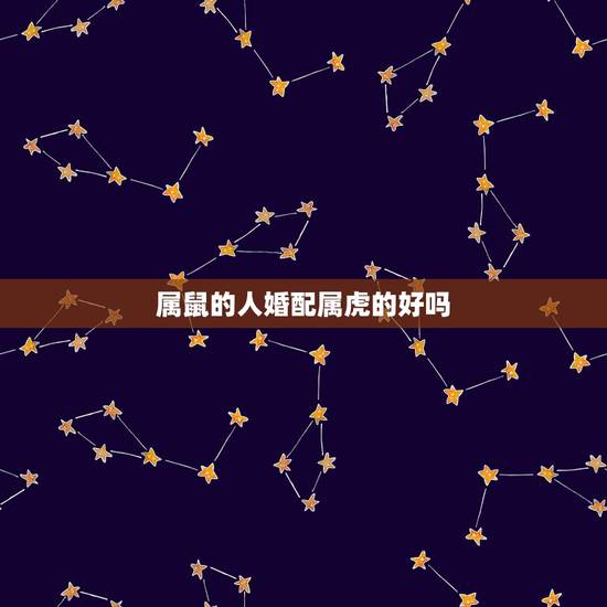 属鼠的人婚配属虎的好吗,属鼠的和属虎的婚配怎么样啊? 属鼠的人婚配属虎的好吗,属鼠的和属虎的婚配怎么样啊?