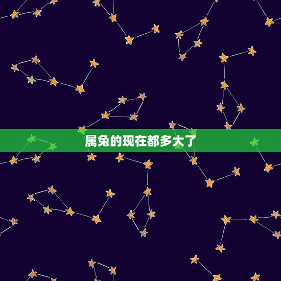 属兔的现在都多大了,八几年的兔子多大 属兔的现在都多大了,八几年的兔子多大