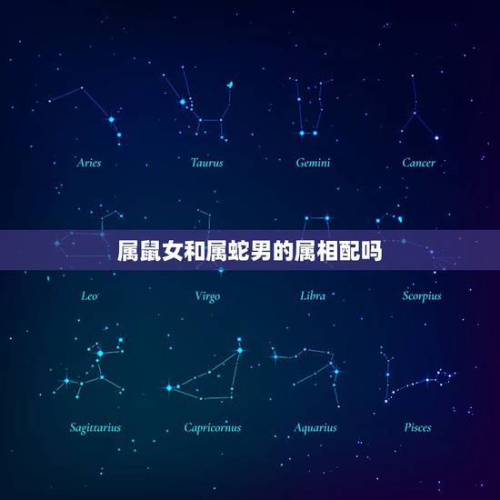 属鼠女和属蛇男的属相配吗，男属蛇女属鼠相配吗？