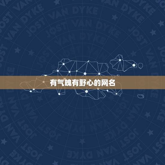 有气魄有野心的网名,形容有野心的网名2个字 有气魄有野心的网名,形容有野心的网名2个字