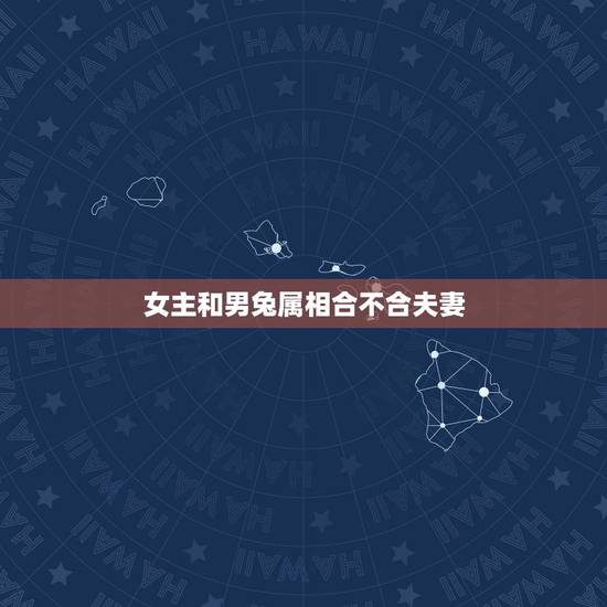 女主和男兔属相合不合夫妻，女主年份属龙和男主年份属兔的婚配