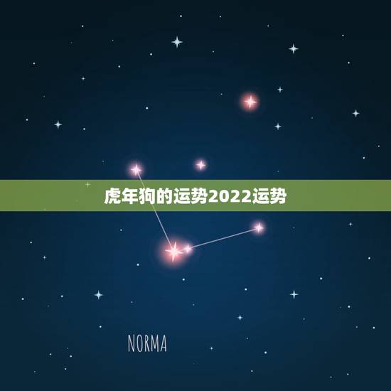 虎年狗的运势2022运势，属狗2022