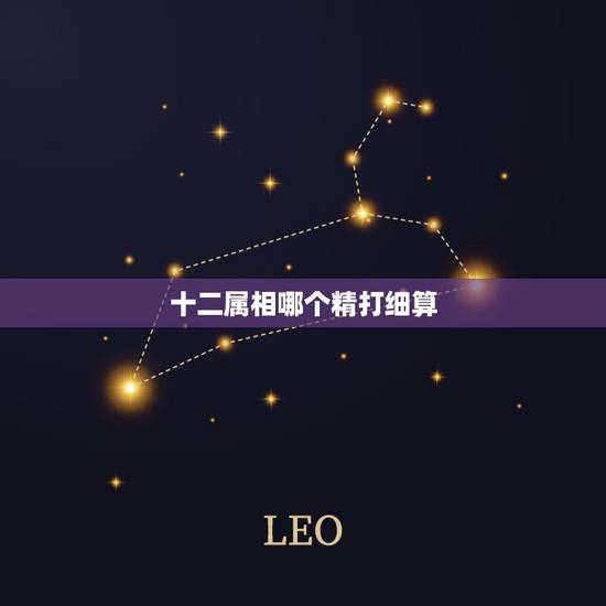 十二属相哪个精打细算,十二生肖中精打细算的是哪个生肖 十二属相哪个精打细算,十二生肖中精打细算的是哪个生肖