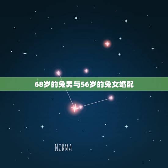 68岁的兔男与56岁的兔女婚配,属相婚配:男属兔和女属猪相配吗 68岁的兔男与56岁的兔女婚配,属相婚配:男属兔和女属猪相配吗