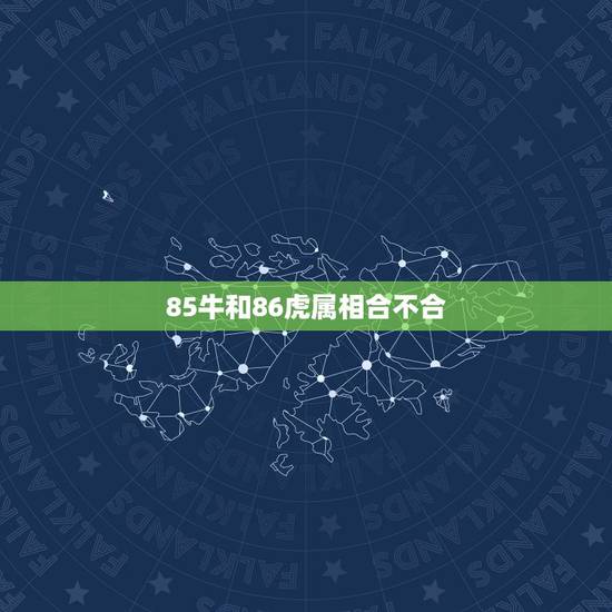 85牛和86虎属相合不合,86年男属虎85年女属牛配吗? 85牛和86虎属相合不合,86年男属虎85年女属牛配吗?