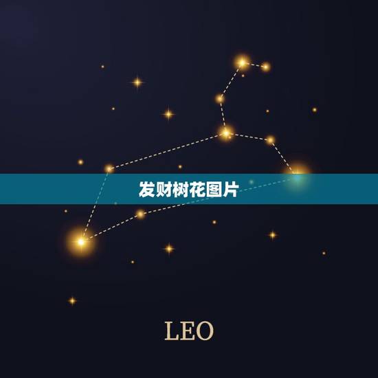 发财树花图片,发财树会开花吗 发财树花图片,发财树会开花吗