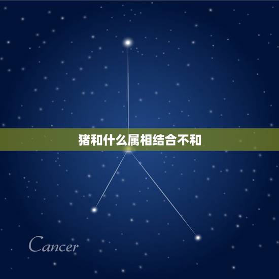 猪和什么属相结合不和，属猪和属什么属相的人合得来