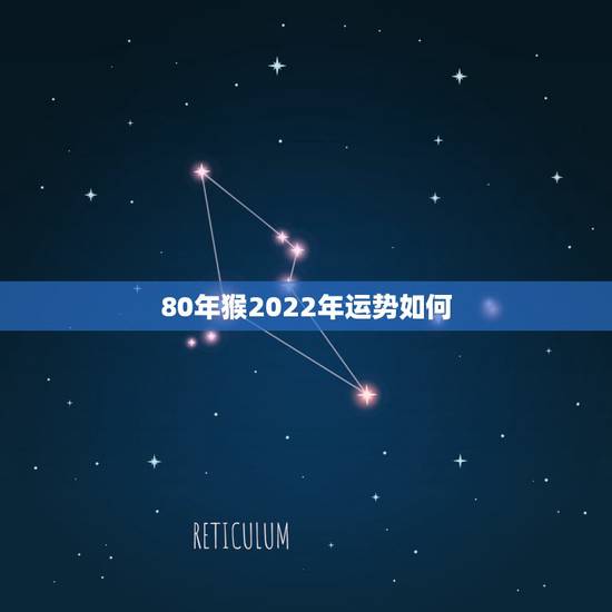 80年猴2022年运势如何，2022年属猴人的运程