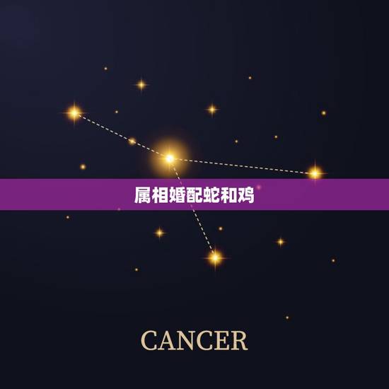 属相婚配蛇和鸡,属蛇男和属鸡女相配吗 属相婚配蛇和鸡,属蛇男和属鸡女相配吗