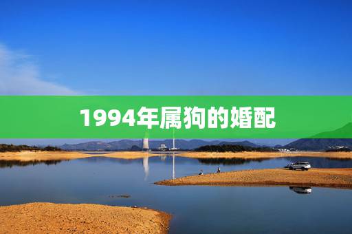 1994年属狗的婚配，94年属狗姻缘
