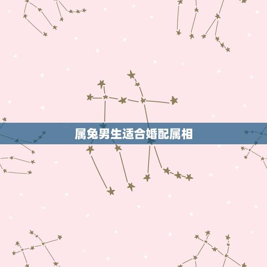 属兔男生适合婚配属相,属兔的婚配属相 属兔男生适合婚配属相,属兔的婚配属相