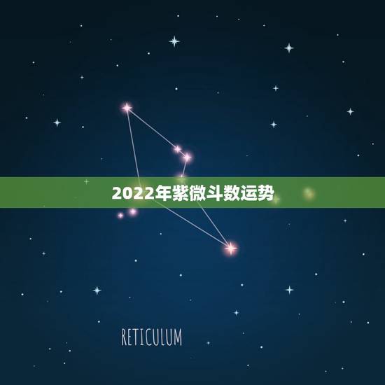 2022年紫微斗数运势,2022年免费测八字运势 2022年紫微斗数运势,2022年免费测八字运势